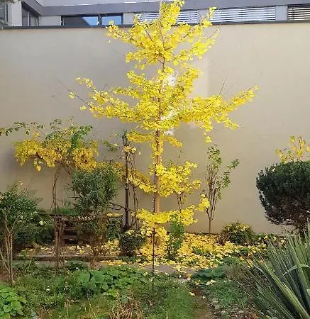 Appartement Piata Muzeului 1 Cluj-Napoca