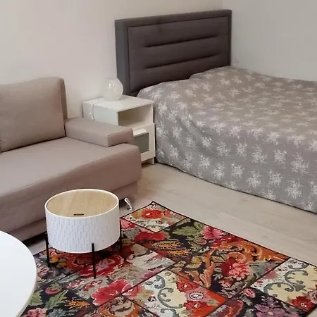 Appartement Piata Muzeului 1