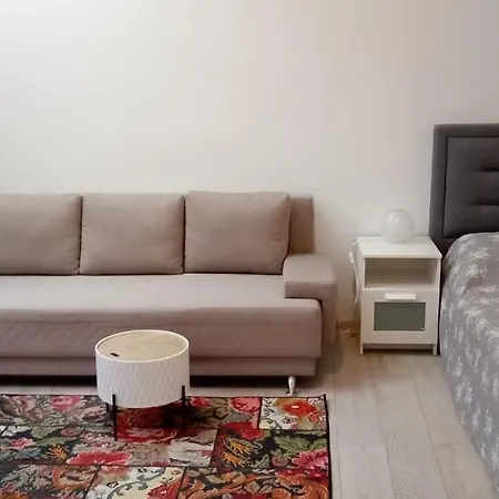 Piata Muzeului 1 * Cluj-Napoca
