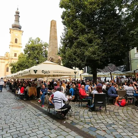Apartamento Piata Muzeului 1 *