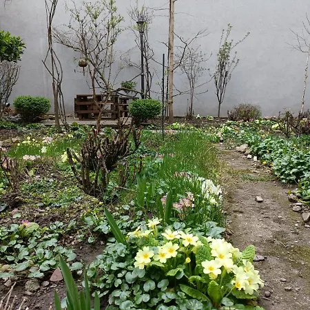 Piata Muzeului 1 Apartamento