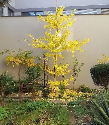 דירה Piata Muzeului 1 קלוז'-נאפוקה