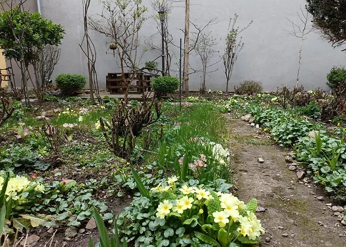 Piata Muzeului 1 Apartamento